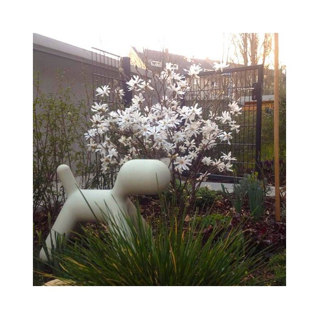 Puppy mediano blanco en jardin Magis Me Too